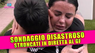 Grande Fratello Disastroso Shaila e Lorenzo Stroncati in Diretta [upl. by Neiman660]