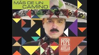 Con Otro Sabor  Pepe Aguilar Más De Un Camino [upl. by Eusebio546]