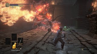 Dark Souls 3  Catacombs of Carthus  Demon Fight Demons GreataxeFist [upl. by Roumell820]