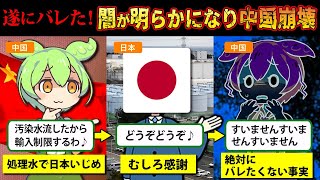 【実話】処理水問題で日本叩きに夢中になっていた中国。それがきっかけでとんでもない事実が発覚してしまうことに【ずんだもん＆ゆっくり解説】【ずんだもん探偵～Z～第2弾】 [upl. by Cilurzo]