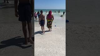 BEACH FUN AT SIESTA KEY [upl. by Llenor]