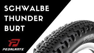 Schwalbe Thunder Burt Snake Skin  Opinião [upl. by Snevets200]