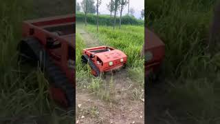 Lawn cutter weed removal remote control lawn mower weed killer lawn mower [upl. by Enairb]