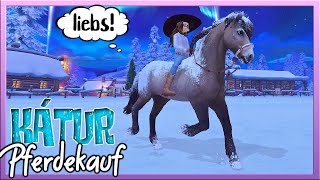 ich KAUFE den WINTER ISLÄNDER 🐴❄️ weil er VOLLER SCHNEE ist 🌨 SSO [upl. by Phoebe]