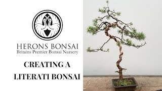 Literati Bonsai in brief [upl. by Maryellen]