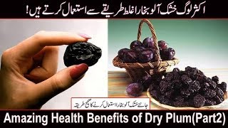 Amazing Health Benefits of Dry Plum In UrduHindi  Khushk Aloo Bukhara kay faydePart2 [upl. by Ettezoj481]