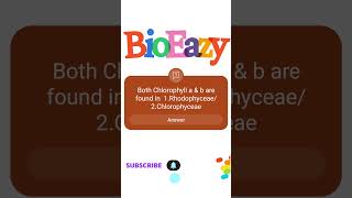 Chlorophyll a and b are found in 1 Rhodophyceae 2Chlorophyceae bioeazy amitsir neetbiology [upl. by Ardnait]