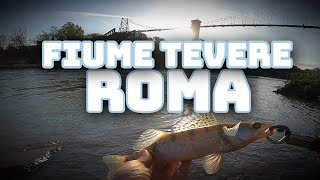 Spinning Ai PREDATORI Del Fiume TEVERE 🎣 Castel GIUBILEO  ⚠️ ROMA ⚠️ [upl. by Vida364]