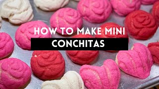 The Best CONCHAS Recipe Homemade conchas easy Pan Dulce recipe Conchas Mexicanas [upl. by Pooley]