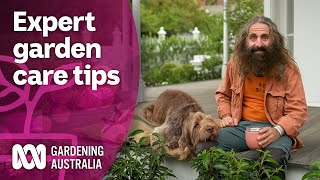 Come spend a day learning about garden maintenance from a designer  Discovery  Gardening Australia [upl. by Mcnelly]