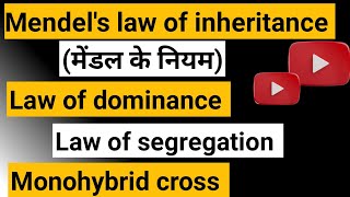 Mendels law of inheritance ।। law of dominance ।। law of segregation [upl. by Partan]