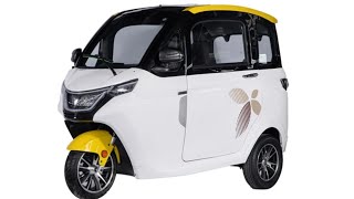 Europe COC electric tricycle passenger car closed cabin 3 wheel electric car electric scooter [upl. by Aeniah]