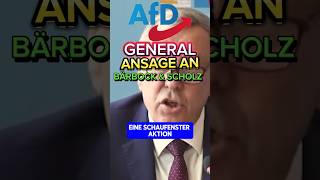 💥EKLAT💥 AFD GENERAL zerlegt BÄRBOCK amp SCHOLZ⚡ ampel afd bärbock scholz spd diegrünen bsw cdu [upl. by Nylanna905]