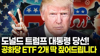 공화당 ETF vs 민주당 ETF 알아두면 무조건 도움됩니다 ft 도널드 트럼프 당선인 [upl. by Ahsia]