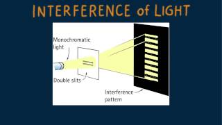 HewittDrewit PHYSICS 112 Interference of Light [upl. by Wiltsey]