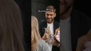 😩🤌cat felinette funny love catdad funnycats instagram youtubeshorts fypシ゚viral follow [upl. by Jacinto]