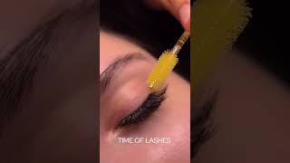 How to Do Perfect Lash Extensions Using a Beauty Bed LashExtensions BeautyBedSetup beautyspa [upl. by Denman366]