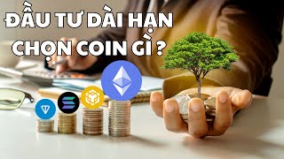 ĐẦU TƯ DÀI HẠN CRYPTO CHỌN COIN GÌ  TOP COIN NÊN ĐẦU TƯ [upl. by Ailahk]