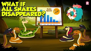 What If All Snakes Disappeared  The Importance of Snakes in the Ecosystem  The Dr Binocs Show [upl. by Cristiona523]