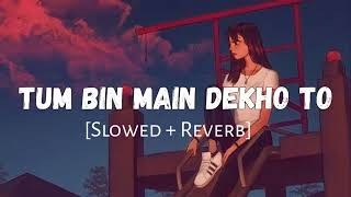 Tum Bin Main Dekhu To Kya Se Kya Ho Baithi  Slowed And Reverb  Lofi Songs  Lofi [upl. by Yerfej29]