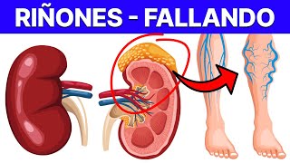 🚨 7 SEÑALES ALARMANTES de RIÑONES INFLAMADOS Pidiendo Ayuda [upl. by Meesaw]