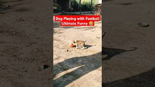 Dog Puppy Playing Football Soccer ⚽💪 Best Soccer Players funny football soccer soccershorts set [upl. by Killam]