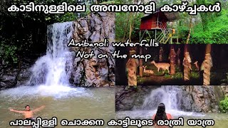 Palapilly chokkana forest to Ambanoli waterfalls  Wild animals crossing Hidden place in Thrissur [upl. by Dinny]