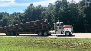 Western Star logging truck Kenworth W900 day cab logging truck [upl. by York]