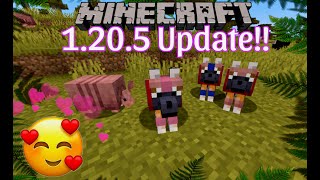 1205 Minecraft Update Endlich haben wir verschiedene Hunderassen [upl. by Byrne]