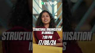 Special One Shot Series  Structural Organisation in Animals [upl. by Bravar]