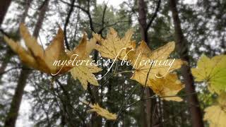 Autumn Moments IV Unwriting [upl. by Kester704]