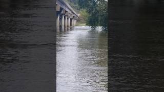 Flooding of the New River in Radford Virginia hurricane hurricanehelene [upl. by Chancellor]