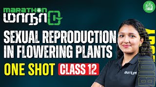 ONE SHOT  Sexual Reproduction in Flowering Plants  Class 12  Xylem CBSE 11amp12 Tamil [upl. by Emerson814]