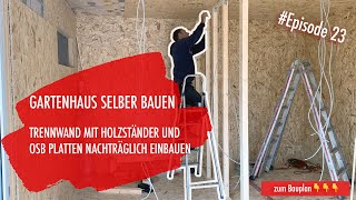 DIY Gartenhaus selber bauen Ep 23  Trennwand einbauen [upl. by Toffic858]