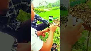 Creative ideas video💡✅💯💯Amazing videography 💯✅🇮🇳👍shorts creative nature viralvideo photography [upl. by Barbara]