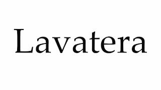 How to Pronounce Lavatera [upl. by Aniled]