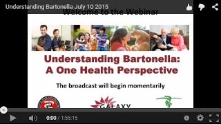 Understanding Bartonella July 10 2015 [upl. by Aimej]