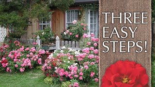 How to Create a Cottage Garden [upl. by Halladba]