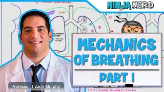 Respiratory  Mechanics of Breathing Pressure Changes  Part 1 [upl. by Anitnamaid]