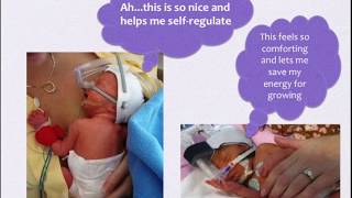 Developmentally Supportive Care in the NICU [upl. by Rehpotsrihc48]