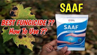 How To Use Saaf Fungicide On Plants In Hindi  Best Fungicide  Carbendazim 12  Mancozeb 63 WP [upl. by Lindi]