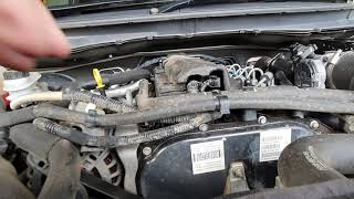 Ford Ranger Mazda BT50 Stalling issues uncovered  Berrima Diesel [upl. by Petty]