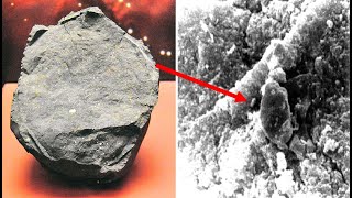 This Meteorite Discovered In Australia Has DNA Components Which Are 7 Billion Years Old [upl. by Koehler]