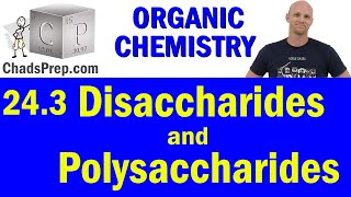 243 Disaccharides and Polysaccharides  Organic Chemistry [upl. by Inama]