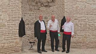 Split Croatia singers [upl. by Yekim]