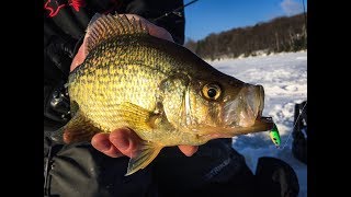 Northern Wisconsin Crappies  InDepth Outdoors Season 12 Episode 8 [upl. by Namien]