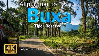 Alipurduar to Buxa  Damanpur Raja Bhat Khawa Buxa Tiger Reserve Santalabari  4K Drive [upl. by Ennasil608]