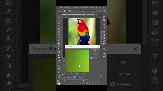 1Minute Background Blurring Tutorial for Photoshop Shorts tutorial editing [upl. by Dowdell542]