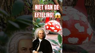 MUZIEK PADDENSTOELEN NIET VAN DE EFTELING 😱  efteling sprookjesbos sebastianbach shorts [upl. by Ettelegna]