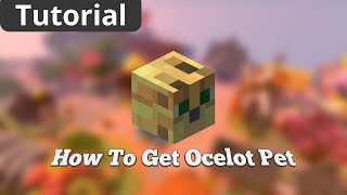 How To Get OCELOT PET in Hypixel Skyblock [upl. by Keung]